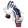 GRAY-NICOLLS PHOENIX AMBI CRICKET GLOVES (558210)