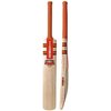 GRAY-NICOLLS Phoenix Slayer Cricket Bat