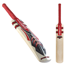 GRAY-NICOLLS Predator 4 Star Cricket Bat