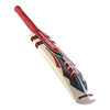 GRAY-NICOLLS Predator 5 Star Junior Cricket Bat