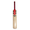 GRAY-NICOLLS Predator Accumulator Cricket Bat