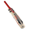 GRAY-NICOLLS Predator Accumulator Junior Cricket