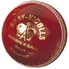 GRAY-NICOLLS SUPERTEST LEATHER CRICKET BALL