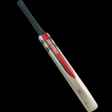 Gray Nicolls Technique Bat