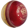 GRAY-NICOLLS TECHNIQUE CRICKET BALL (545105)