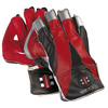 GRAY-NICOLLS Viper Wicket Keeping Gloves