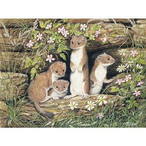 Grovely Jigsaws James Hamilton Grovely Puzzles Baby Stoats 1000 Piece Jigsaw Puzzle