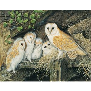 Grovely Jigsaws James Hamilton Grovely Puzzles Barn Owl and Family 1000 Piece Jigsaw Puzzle