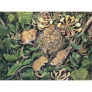 Grovely Jigsaws James Hamilton Grovely Puzzles Dormouse Family 1000 Piece Jigsaw Puzzle