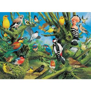 Grovely Jigsaws James Hamilton Grovely Puzzles European Birds 1000 Piece Jigsaw Puzzle