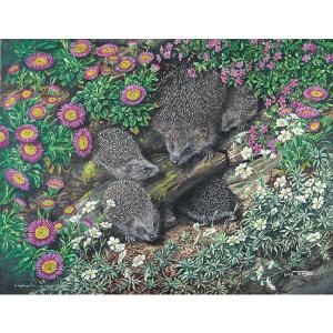 Grovely Jigsaws James Hamilton Grovely Puzzles Hedgehog Family 1000 Piece Jigsaw Puzzle