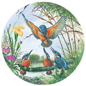 Grovely Jigsaws James Hamilton Grovely Puzzles Kingfisher Family 500 Circular Piece Jigsaw Puzzle