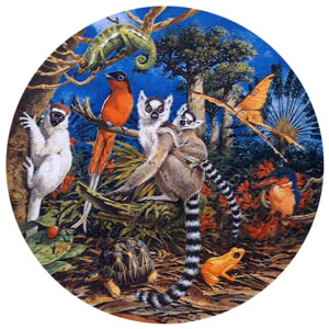 Grovely Jigsaws James Hamilton Grovely Puzzles Madagascan Wildlife 500 Circular Piece Jigsaw Puzzle