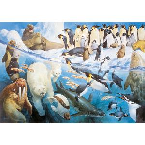 Grovely Jigsaws James Hamilton Grovely Puzzles Polar Regions 1500 Piece Jigsaw Puzzle