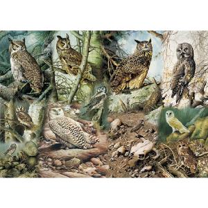 Grovely Jigsaws James Hamilton Grovely Puzzles Silent Hunters 1000 Piece Jigsaw Puzzle