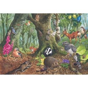 Grovely Jigsaws James Hamilton Grovely Puzzles Woodland Sanctuary 1000 Piece Jigsaw Puzzle