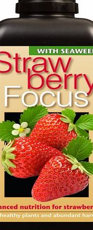 Growth Technology Ltd Strawberry Focus Balanced Nutrition 1 Litre