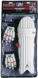 Gunn and Moore Purist Young Gunn Pad and Glove Set - Mini