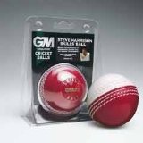 Gunn and Moore Gunn Junior Skills Ball - -