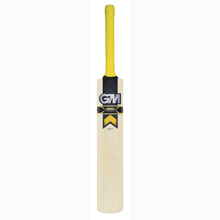 GUNN and MOORE HERO DXM 101 CRICKET BAT MENS