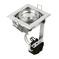 Single Halogen Adjustable - Tilt MR16 Silver Recessed Multiple