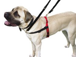 Dog Harness:L