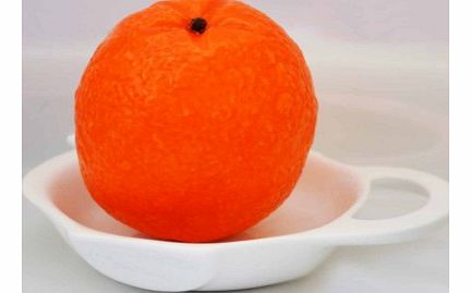 Handmade Orange Shaped Soap in Smart Gift Box