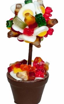 Sweet Tree - 18cms Tall 4487