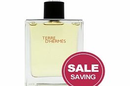 Hermes Terre DHermes Eau de Toilette Spray 100ml