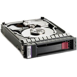 Hewlett-Packard HP 460355-B21 250 GB Internal Hard Drive