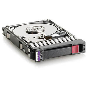 Hewlett-Packard HP 492620-B21 300 GB Internal Hard Drive