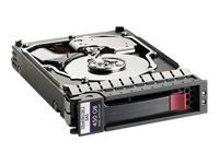 HEWLETT PACKARD HP Dual Port Enterprise Server Hard Drive