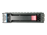 HEWLETT PACKARD HP Dual Port Midline Server Hard Drive