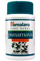 HIMALAYA Punarnava