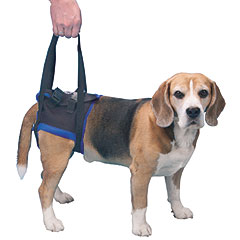 Walkabout Sling/Harness Medium/Large