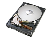 CinemaStar 7K160 - hard drive - 80 GB - ATA-133