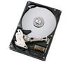 DeskStar 7K1000.B - 1 TB - 7200 RPM - 16 MB -