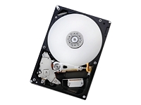 HITACHI Deskstar 7K1000.B - hard drive - 320 GB - SATA-300