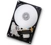 HITACHI DeskStar 7K1000.B 750GB SATA-300 Hard Drive