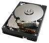 HITACHI Deskstar 7K500 - 500 GB - 7200 RPM - 8 MB - ATA-133 (Bulk Version)