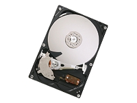 Hitachi DeskStar P7K500 - hard drive - 320 GB - ATA-133