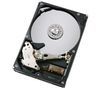 HITACHI Deskstar T7K250 - 250 GB - 7200 RPM - 8 MB - ATA