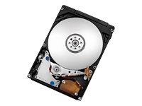 TravelStar 7K320 - hard drive - 250 GB - SATA-300