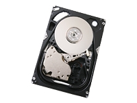 HITACHI Ultrastar 15K300 Server Hard Drive