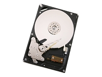 HITACHI Ultrastar A7K1000 - hard drive - 500 GB - SATA-300