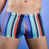 Marina Rio Swim Shorts