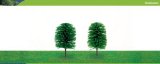 Hornby Hobbies Ltd Hornby R8902 Chile Pine 75mm Pk 2 00 Gauge Skale Scenics Professional Trees