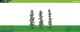 Hornby Hobbies Ltd Hornby R8904 Cedar 100mm Pk 3 00 Gauge Skale Scenics Professional Trees