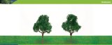 Hornby Hobbies Ltd Hornby R8913 Deciduous 75mm Pk 2 00 Gauge Skale Scenics Professional Trees