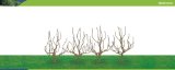 Hornby Hobbies Ltd Hornby R8939 Deciduous 63mm Pk 4 00 Gauge Skale Scenics Tree Armatures